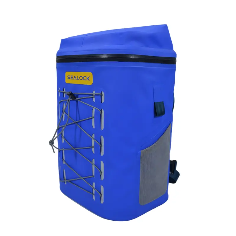 पिकनिक फूड कूलर बॅग